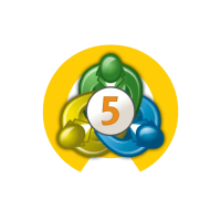 mt5@4x mt5@4x